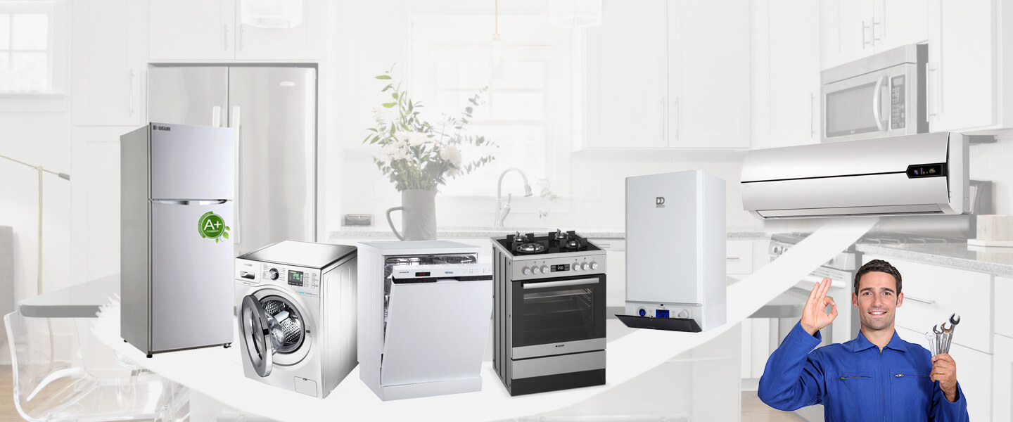 Eynesil Warmhaus Servisi